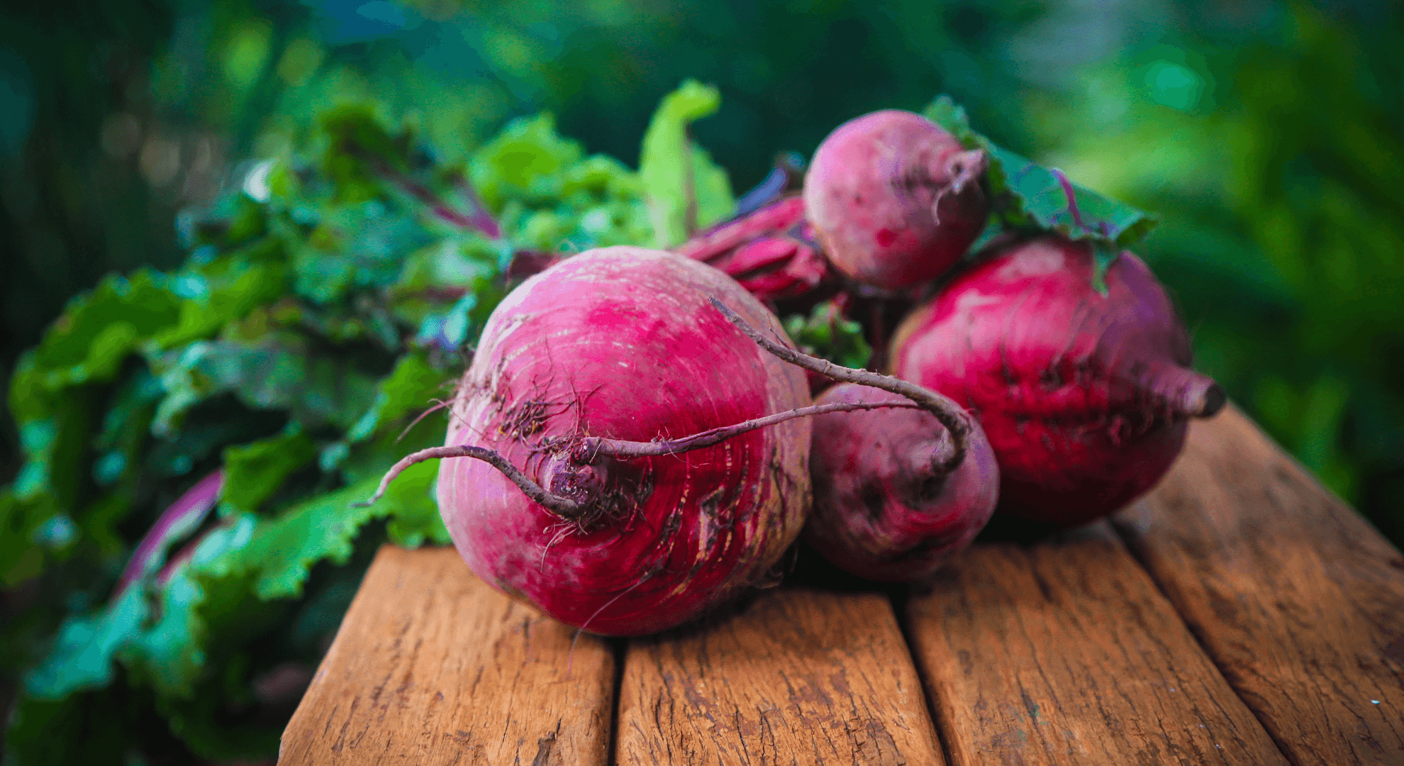 A Guide To Eating In Season Food Why How And Where To Shop Zero a-guide-to-eating-in-season-food-why-how-and-where-to-shop-zero